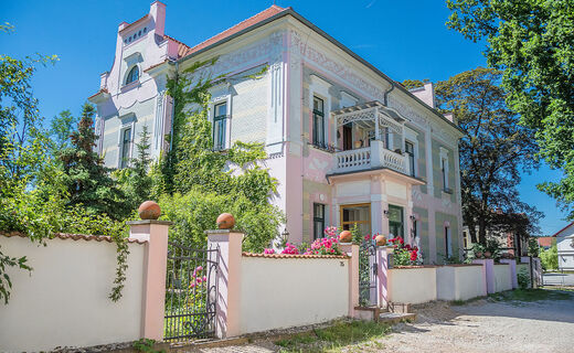 Fotografie nemovitosti - Ojedinělá secesní vila v Horní Bříze, Plzeň - sever