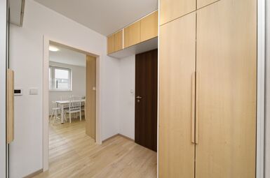 vstup do koupelny + šatní skříň