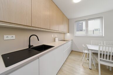 vybavená kuchyně se spotřebiči