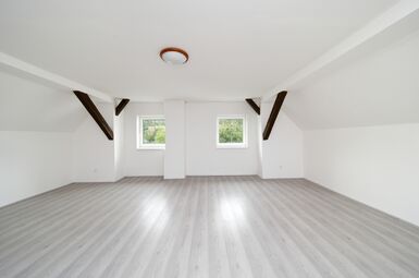 Vyjímečný objekt - soubor 3 budov, Víska u Nepomuka, Plzeň - jih